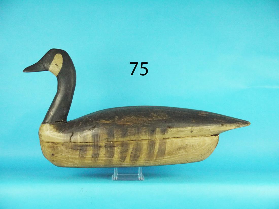 EARLY CANADA GOOSE, NEW JERSEY (1 of 1)