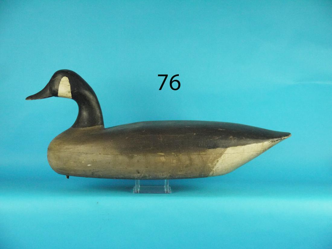 EARLY CANADA GOOSE, J. BARRETT (1 of 4)