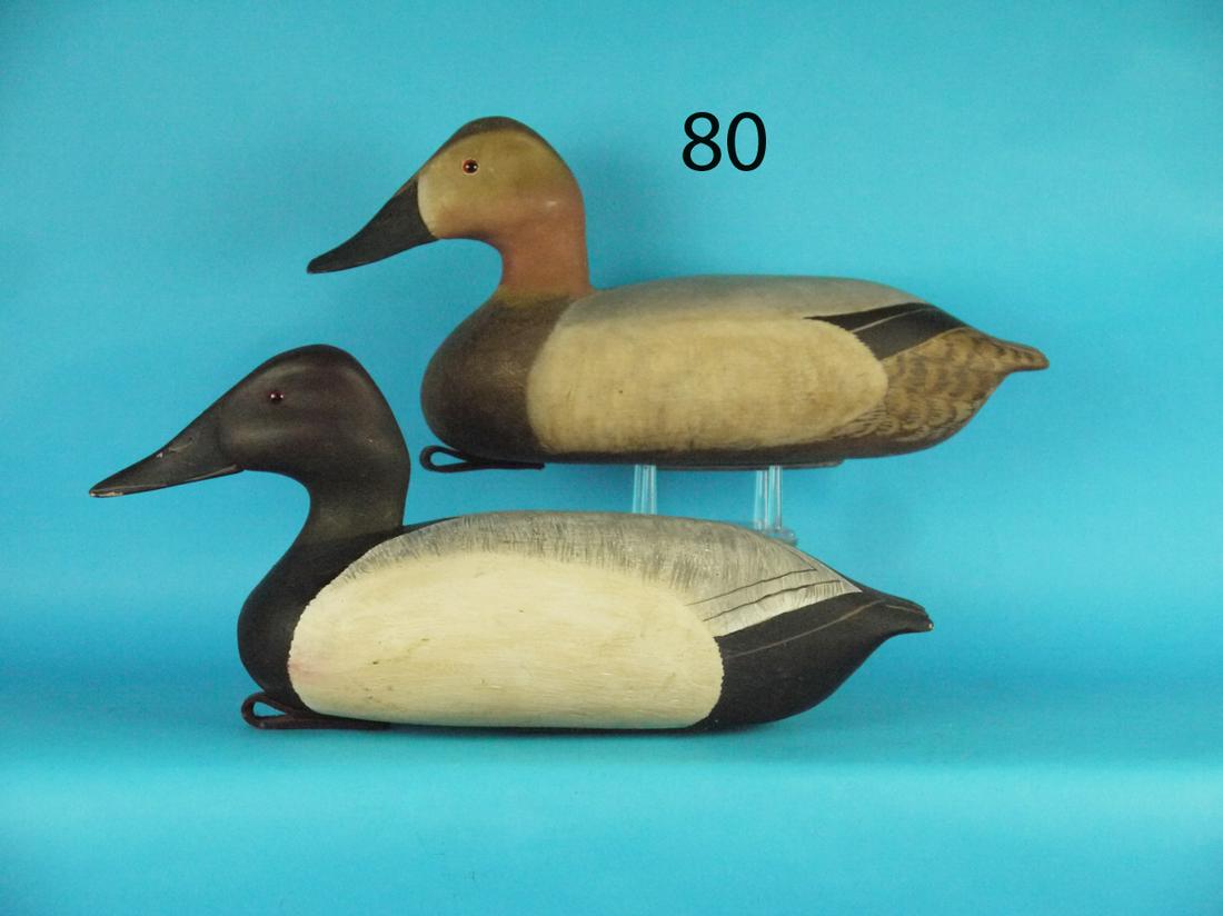 CANVASBACK PAIR, E. CORRADETTI (1 of 1)
