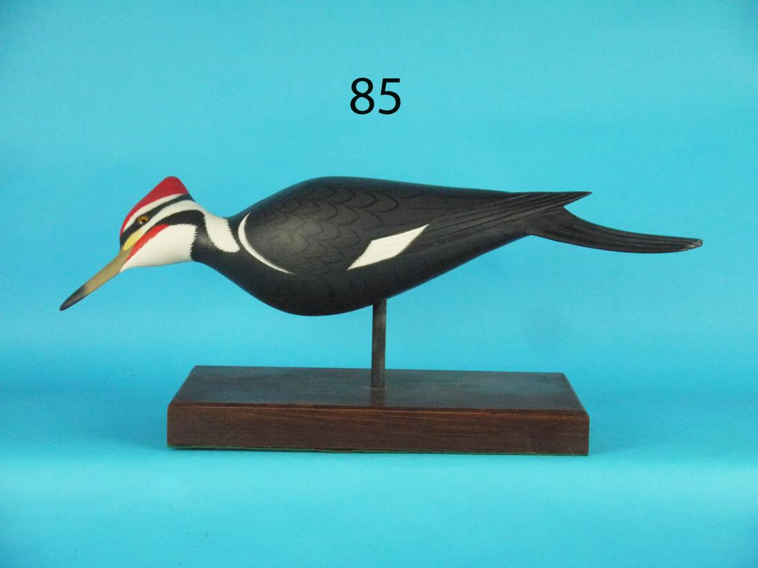 PILEATED WOODPECKER, F.C. BROWN, JR (1 of 1)