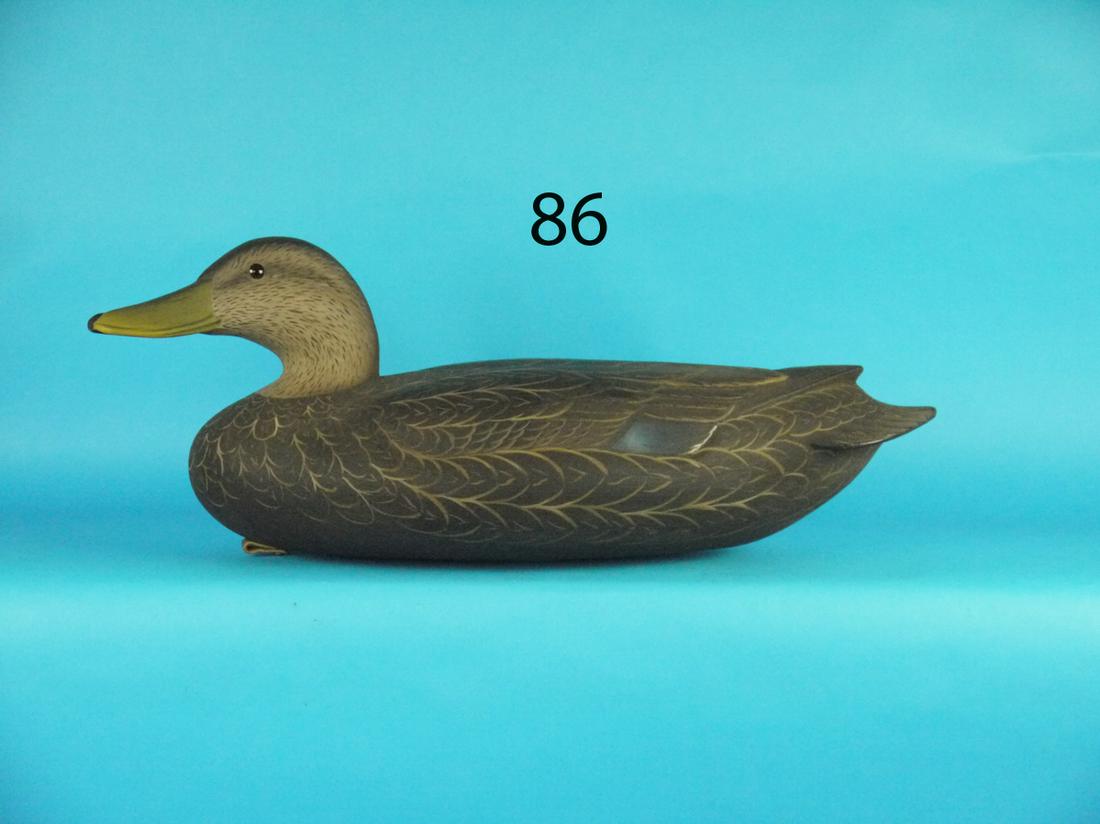 OVERSIZED BLACK DUCK, F. JENNINGS (1 of 1)