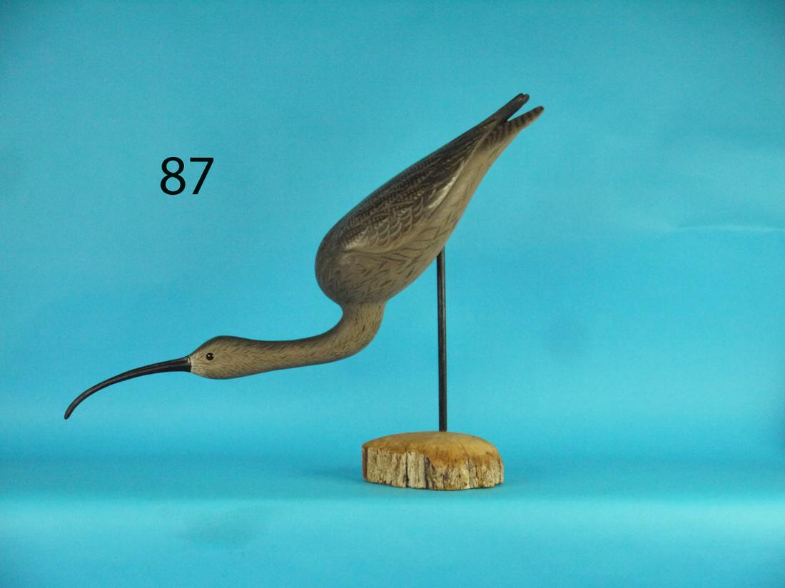 LONG BILLED CURLEW, F. JENNINGS (1 of 1)