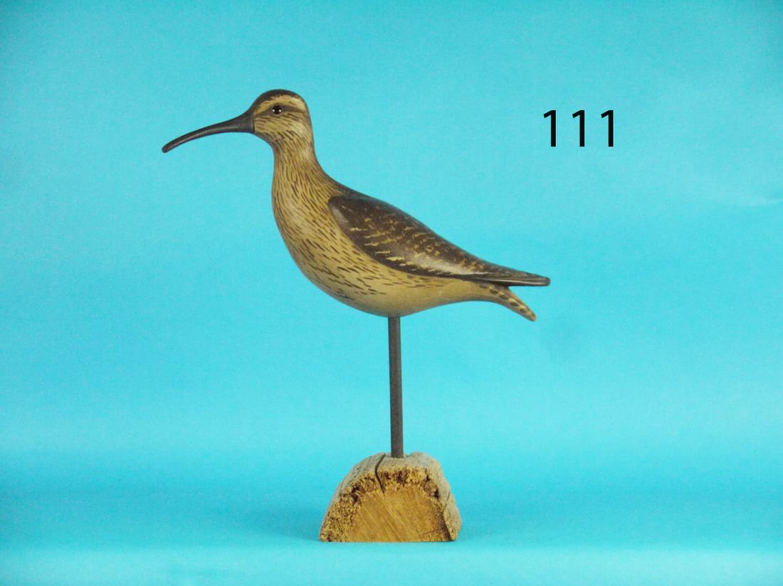 ESKIMO CURLEW, S. MOREY (1 of 1)