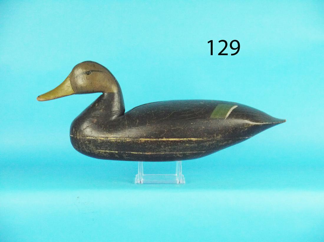 BLACK DUCK, J. KING (1 of 1)