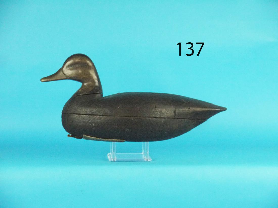 BLACK DUCK, T. JOHNSON ATTRIBUTION (1 of 1)