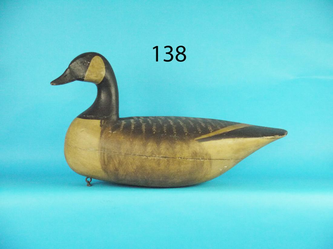 CANADA GOOSE, CHINCOTEAGUE, VA (1 of 5)