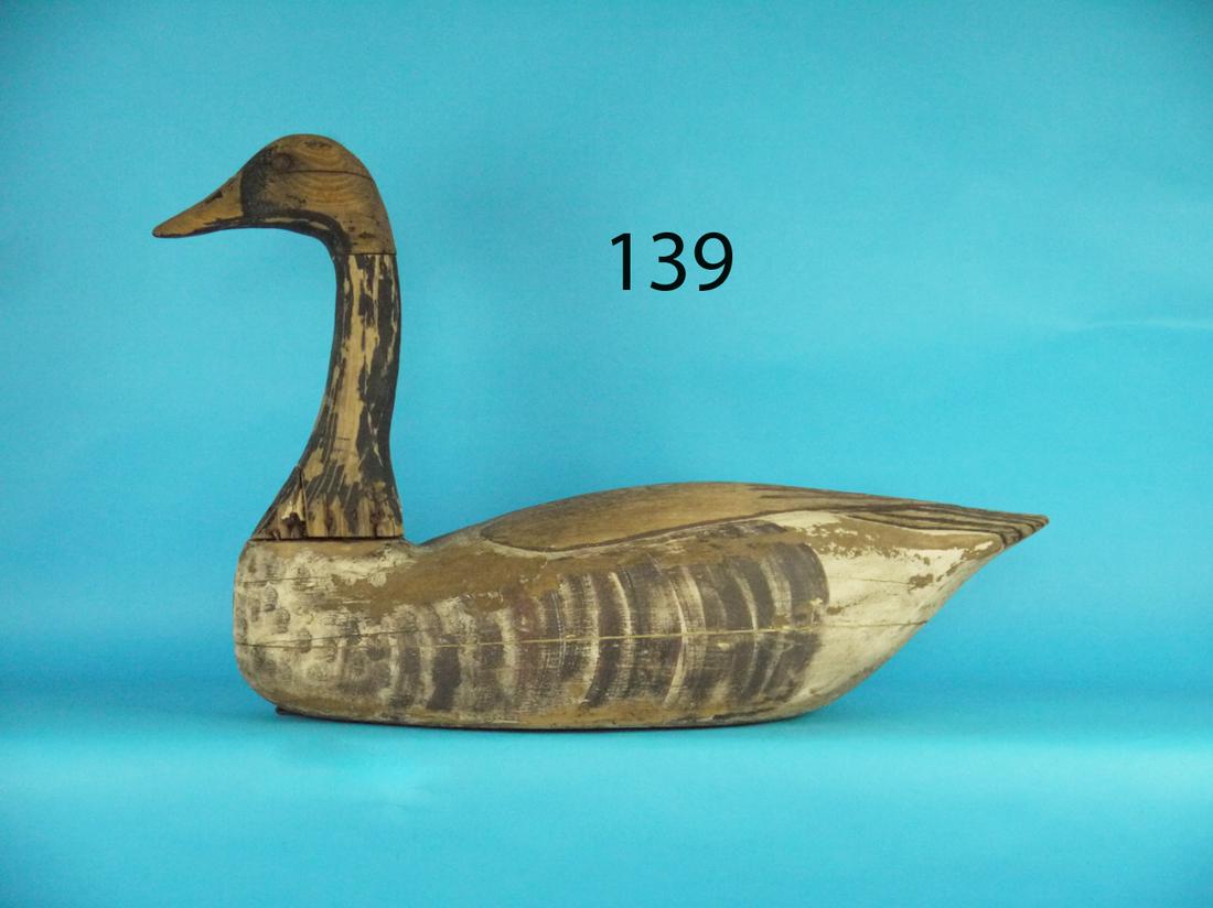 CANADA GOOSE, NEW JERSEY (1 of 1)