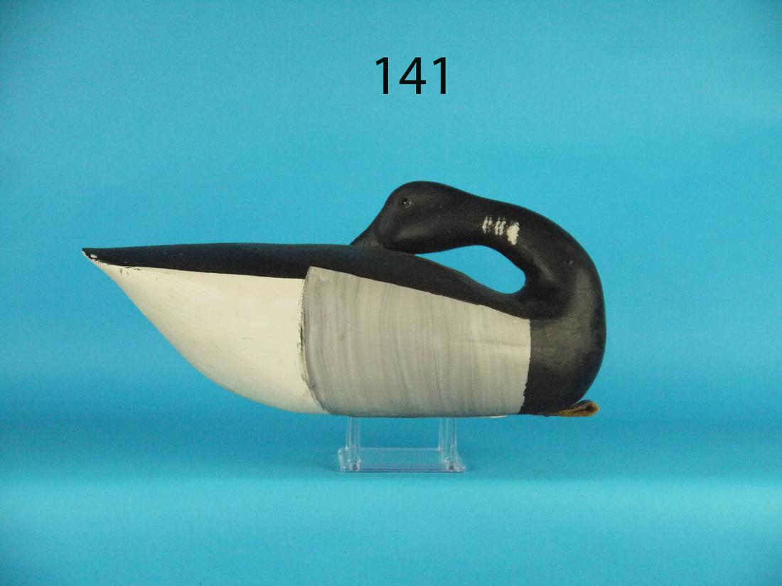 PREENING BRANT, A. BIRDSALL (1 of 1)