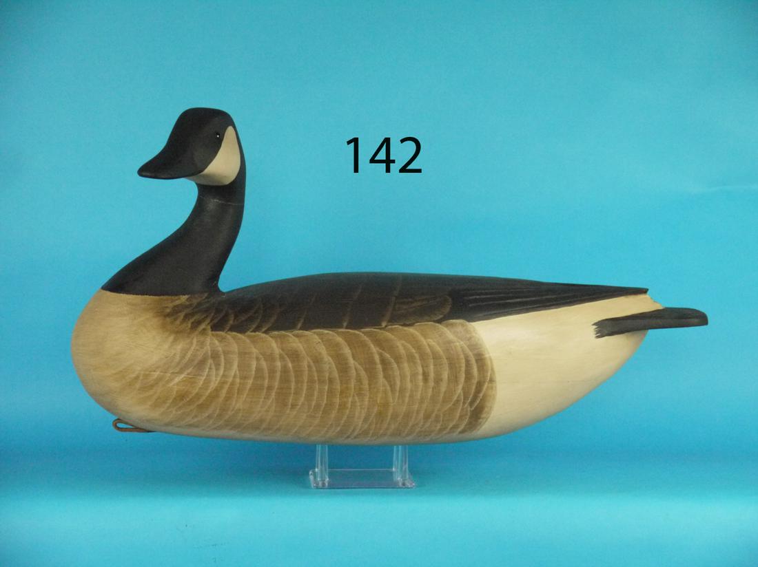 CANADA GOOSE, A. BIRDSALL (1 of 1)
