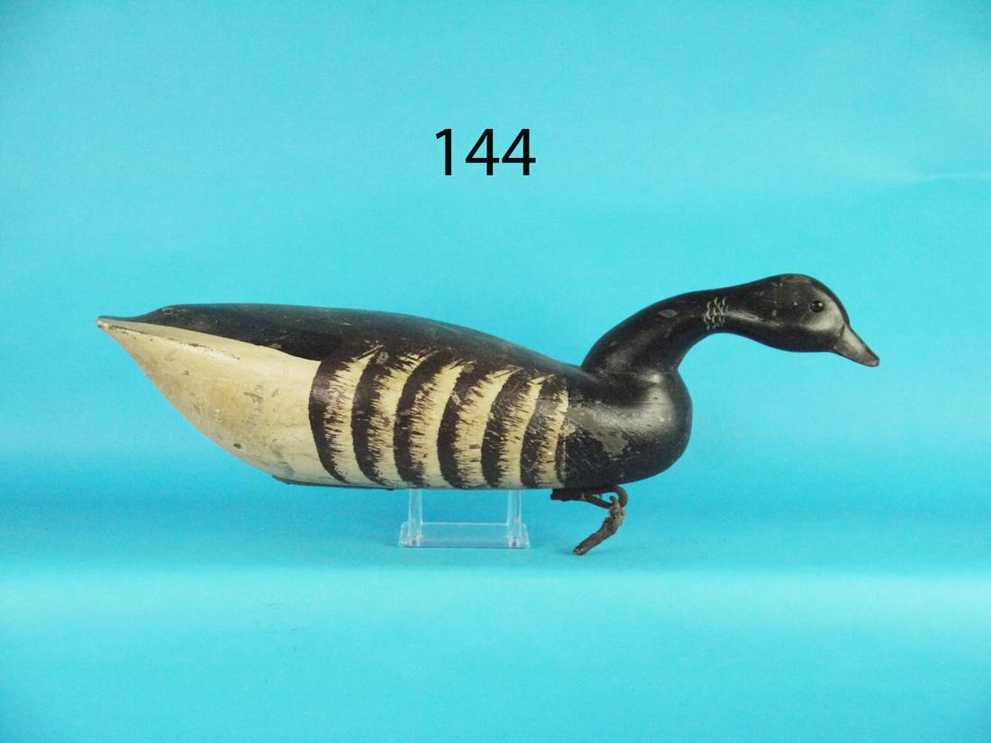 SWIMMING BRANT, G. BELL (1 of 1)