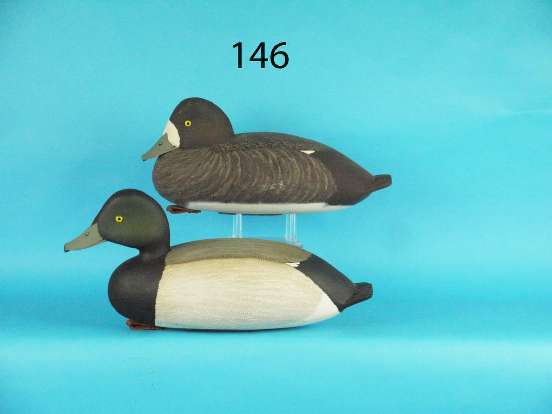 BLUEBILL PAIR, J. HOLLOWAY (1 of 1)