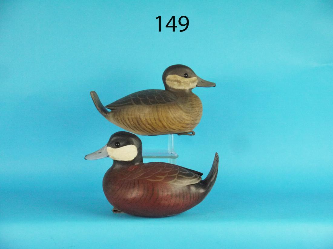 RUDDY DUCK PAIR, J. BRITTON (1 of 1)