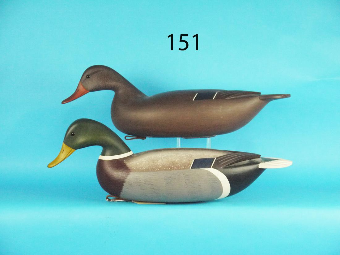 MALLARD PAIR, E. CLARK (1 of 1)