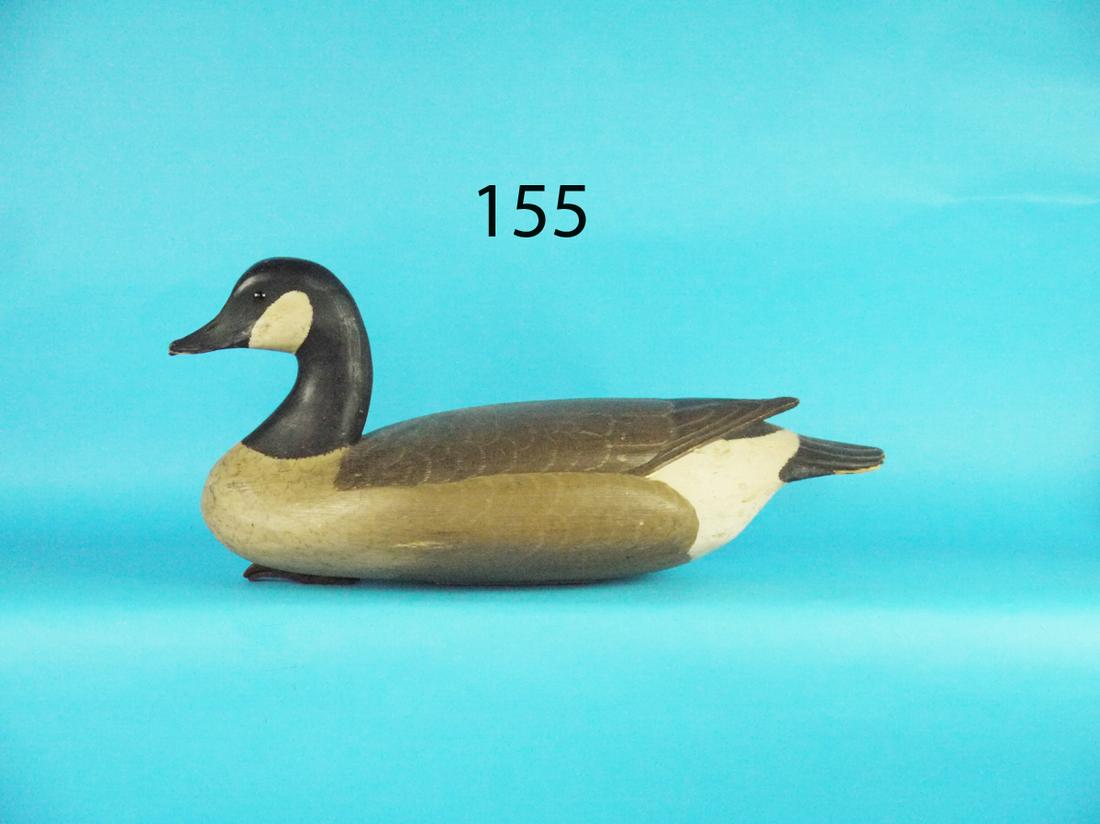 CANADA GOOSE, R. SABATINI (1 of 1)