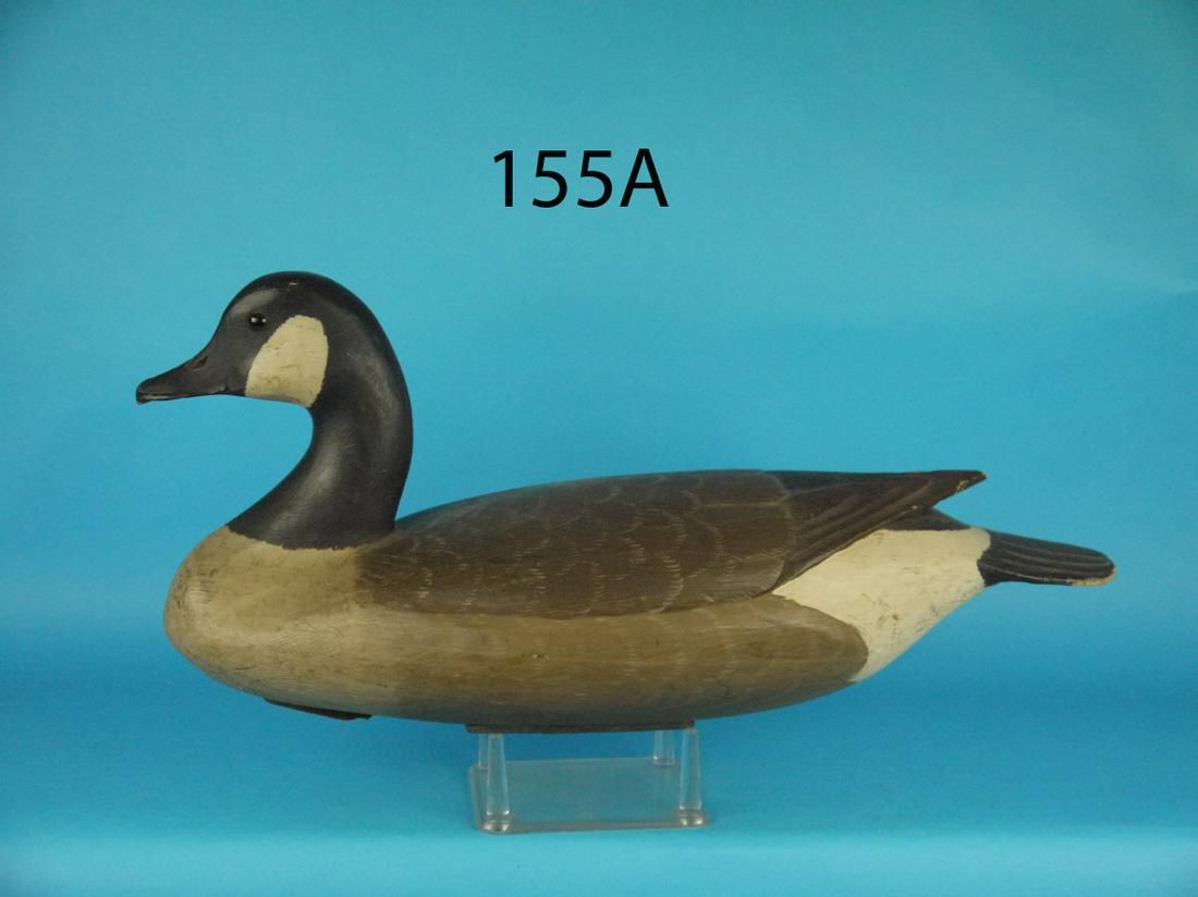 CANADA GOOSE, R. SABATINI (1 of 5)