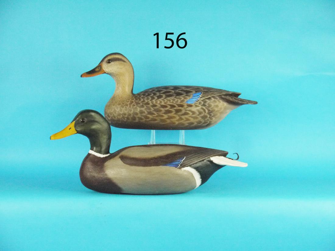 MALLARD PAIR, R. SABATINI (1 of 1)