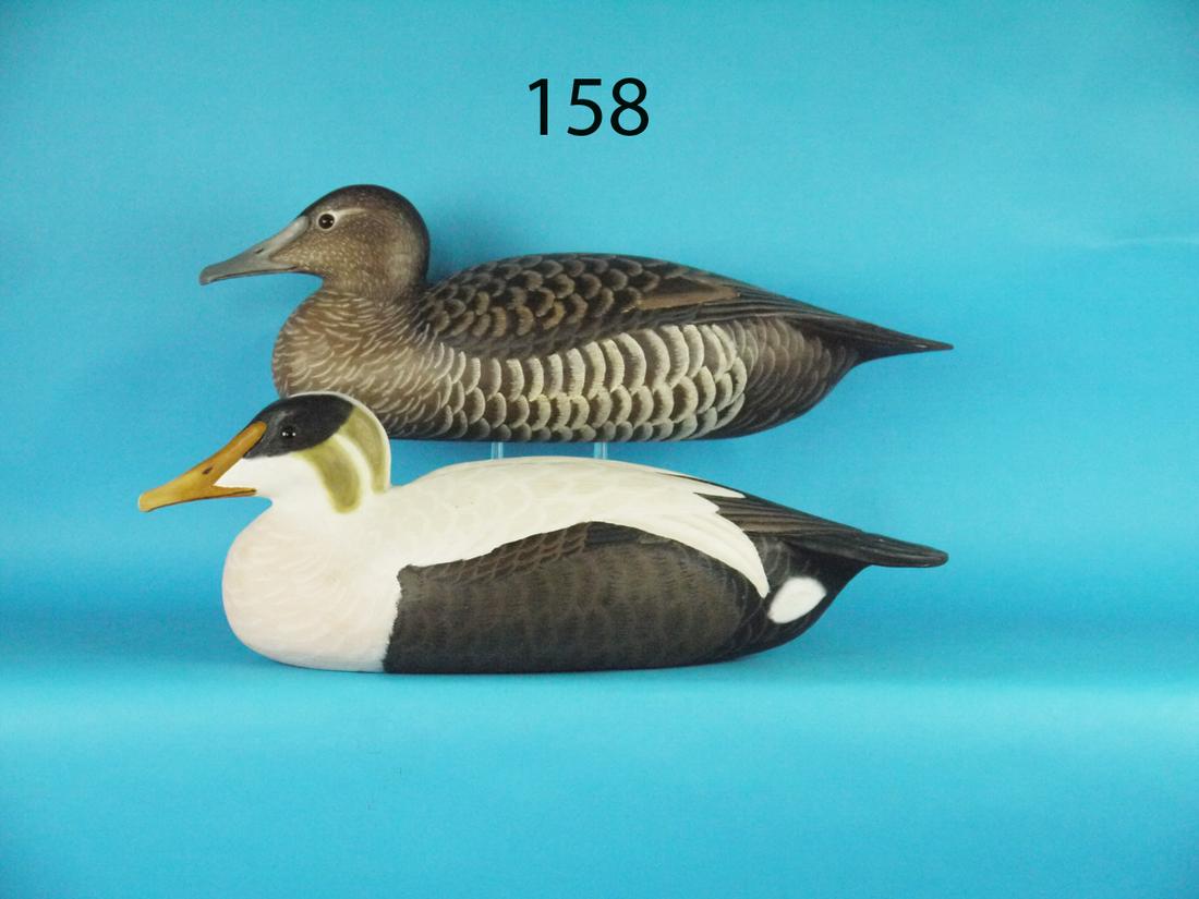 EIDER PAIR, R. SABATINI (1 of 1)