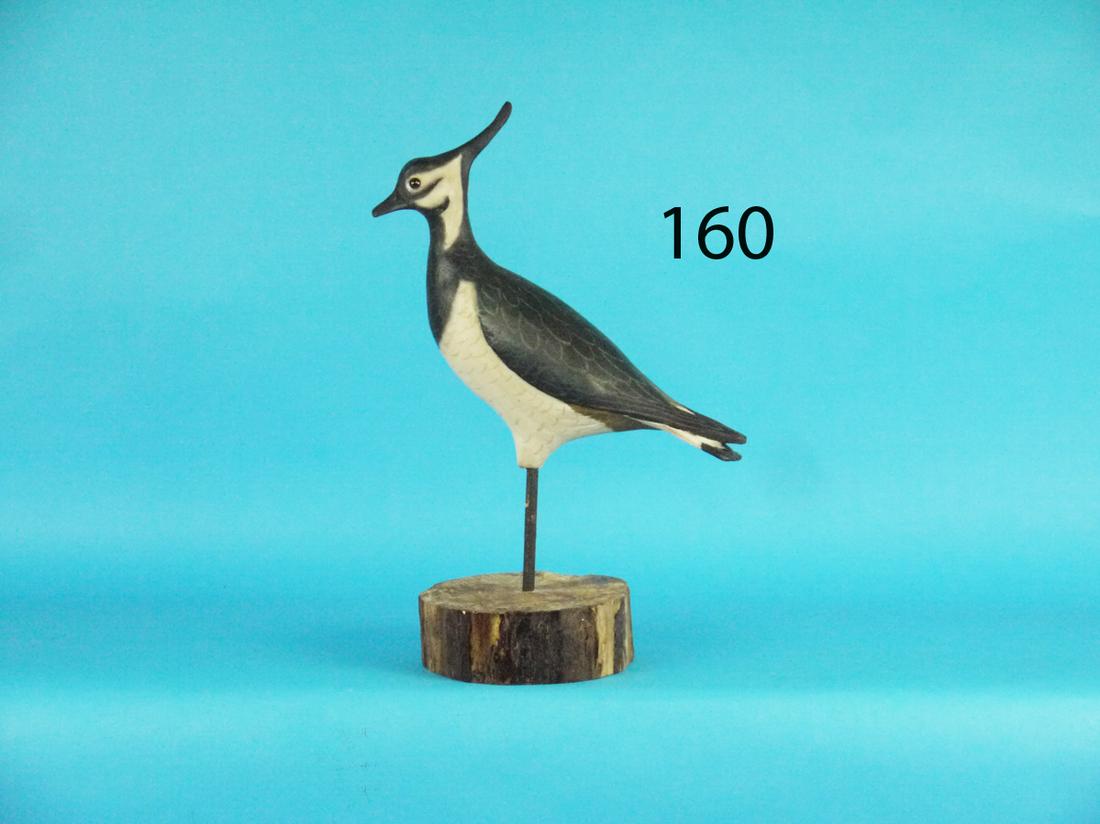 RARE LAPWING, R. SABATINI (1 of 1)