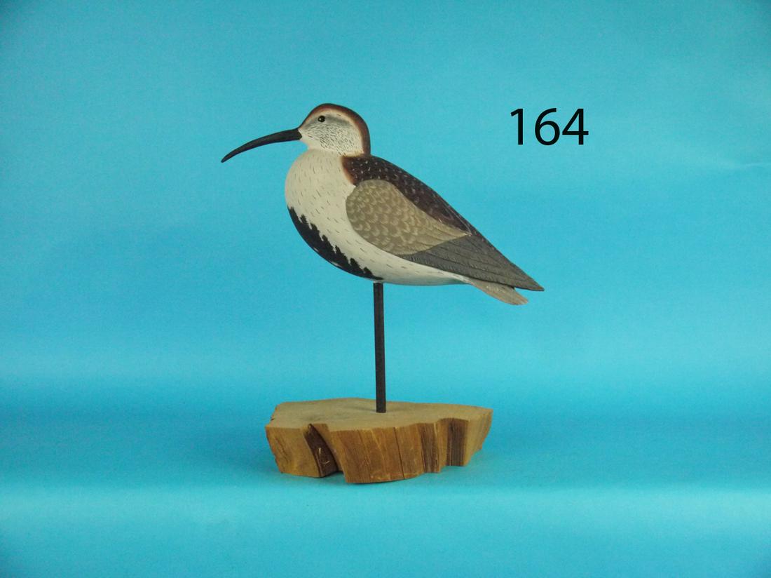 RED-BACKED SANDPIPER, R. SABATINI (1 of 1)