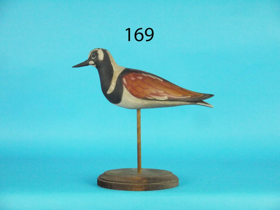 RUDDY TURNSTONE, D. RHODES (1 of 1)