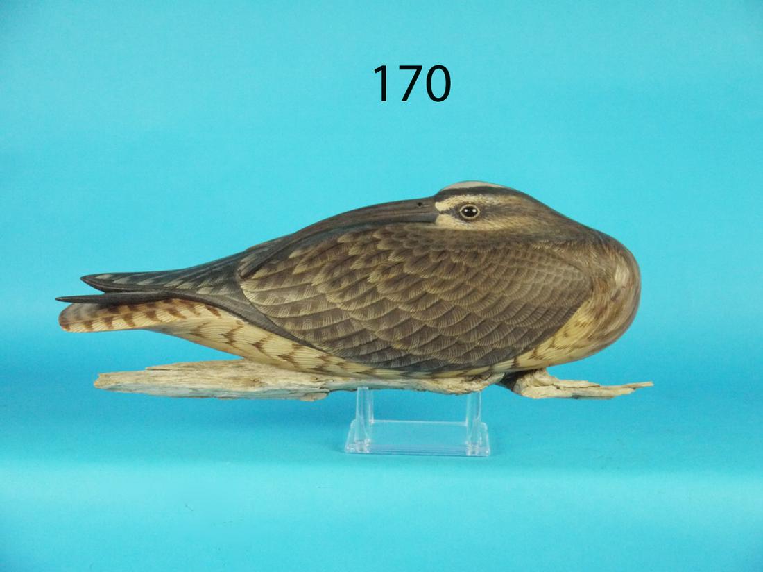 CURLEW, D. RHODES (1 of 4)