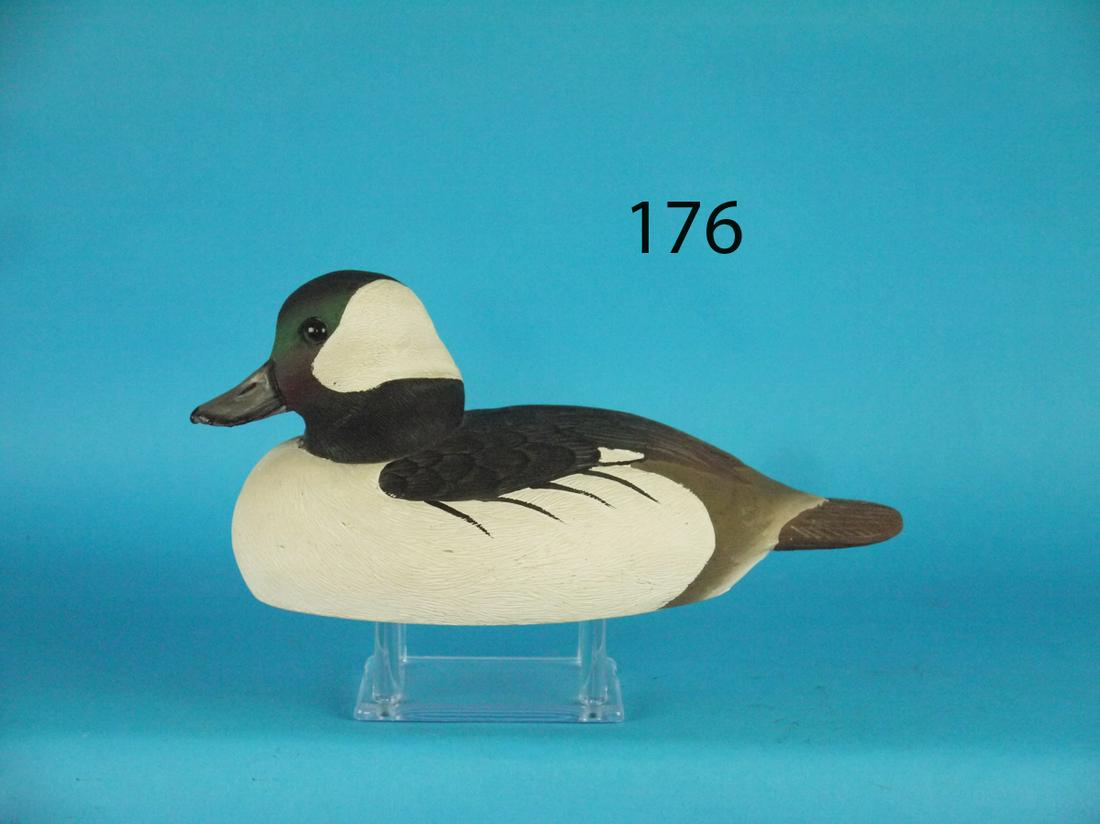 BUFFLEHEAD DRAKE, C. SAPPENFIELD (1 of 1)