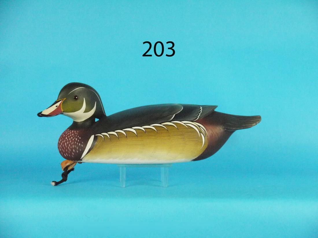 WOOD DUCK DRAKE, G. STRUNK (1 of 1)