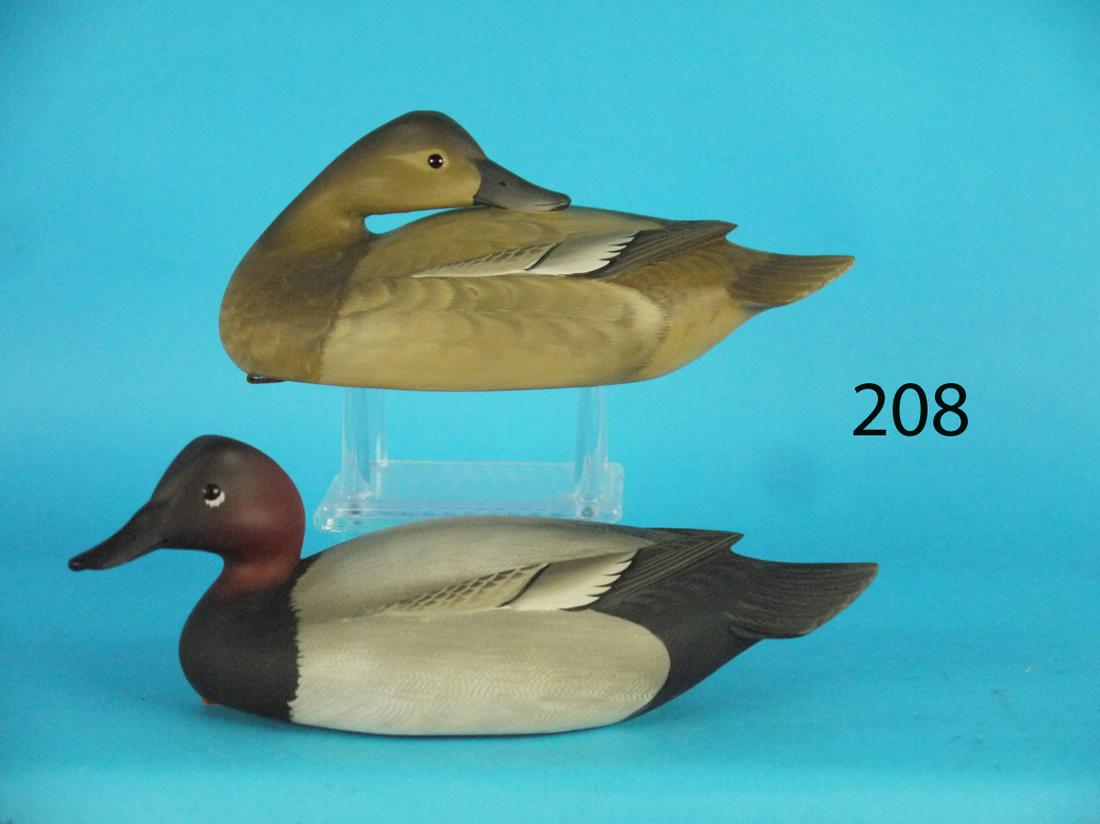 ONE-THIRD SIZE CANVASBACKS, G. STRUNK (1 of 1)