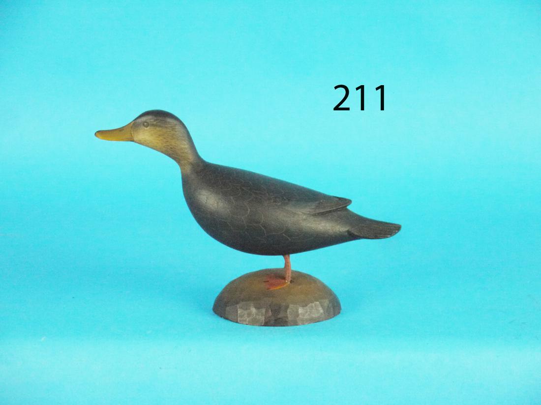 MINIATURE BLACK DUCK, G. STRUNK (1 of 1)