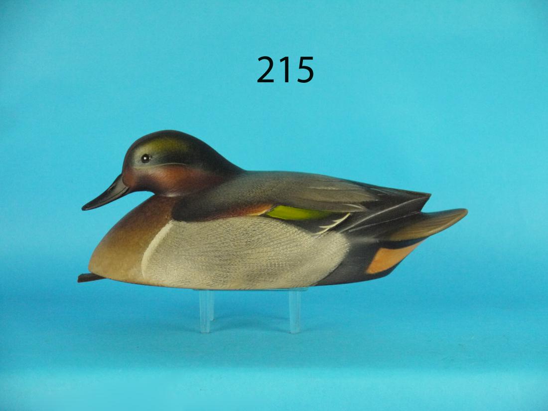 GREEN WING TEAL DRAKE, S. SUTTON (1 of 1)