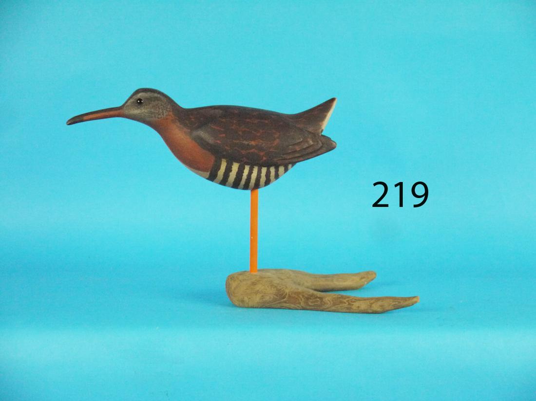 VIRGINIA RAIL, S. MOREY (1 of 1)