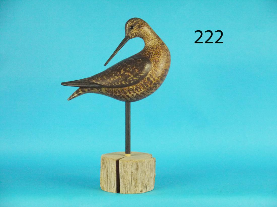 DOWITCHER, S. MOREY (1 of 1)