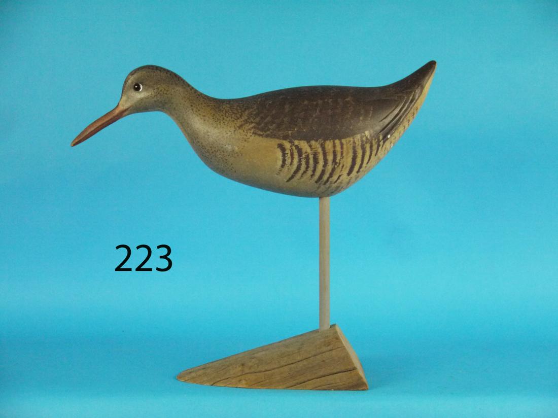 CLAPPER RAIL, S. MOREY (1 of 1)