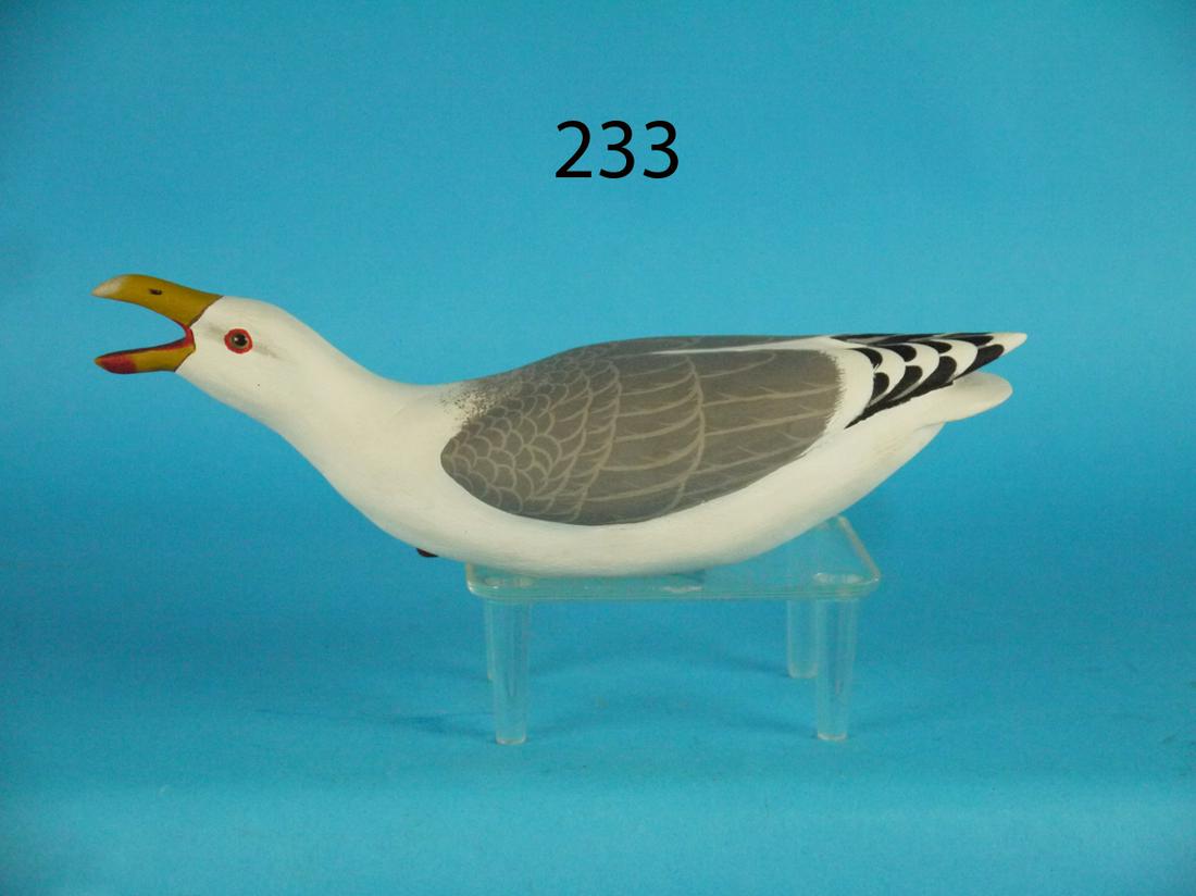 ONE-THIRD SIZE LAUGHING GULL, J. WOOD (1 of 1)