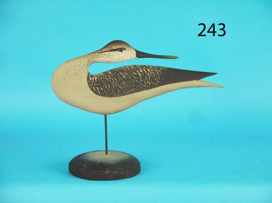 RARE FLATTY SHOREBIRD, B. WHITE (1 of 1)