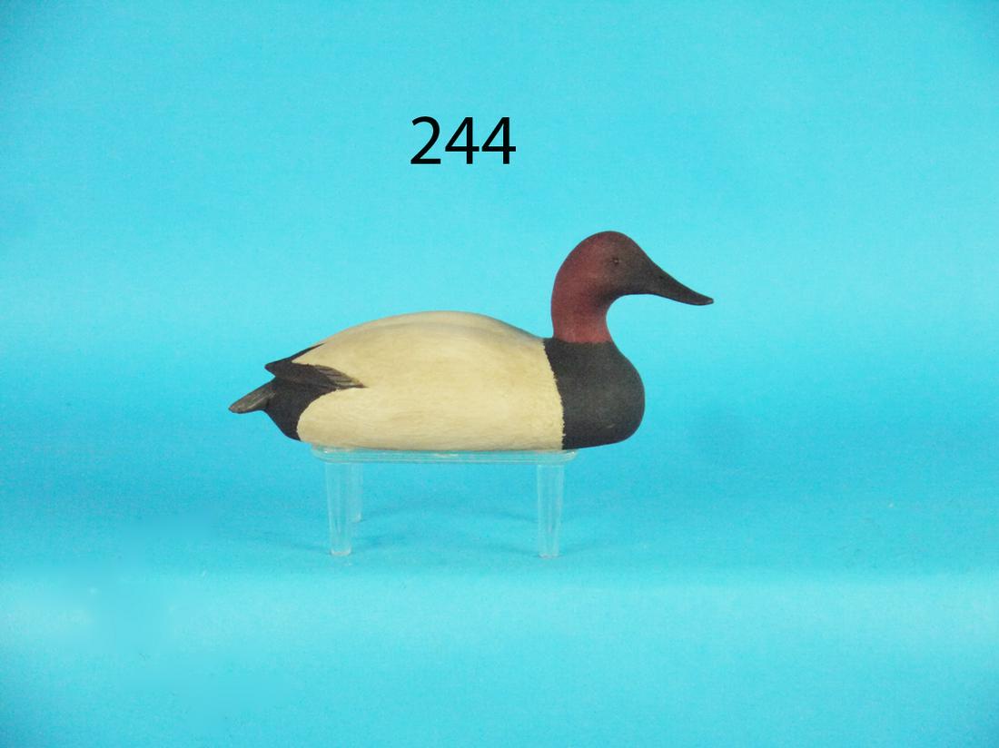 ONE-THIRD SIZE CANVASBACK, B. WHITE (1 of 1)