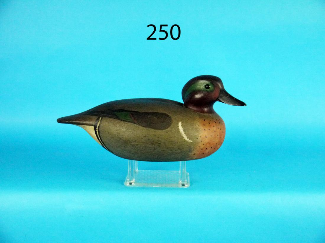 GREEN WING TEAL, B. WHITE (1 of 4)
