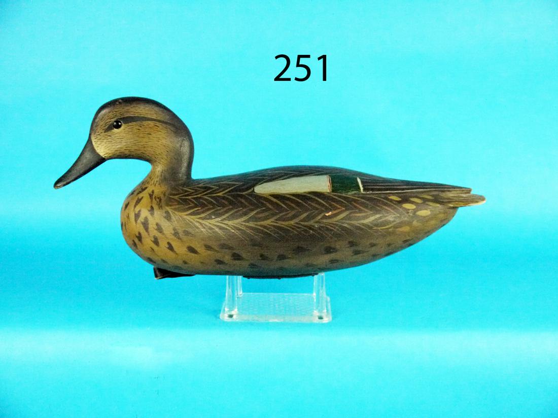 BLUE WING TEAL HEN, B. WHITE PAINT (1 of 4)
