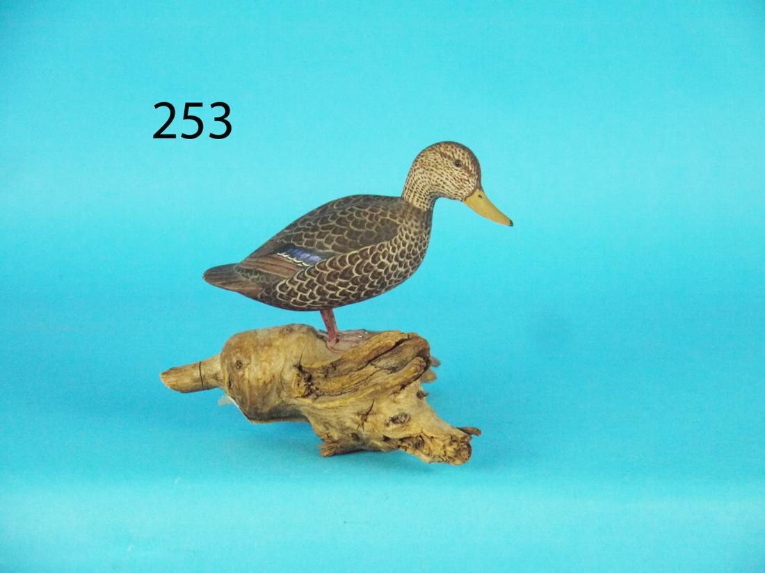MINIATURE BLACK DUCK, H. MORSE (1 of 1)