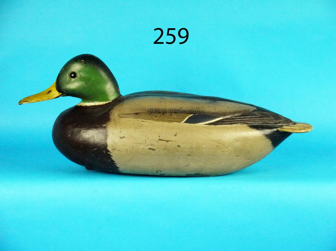 MALLARD DRAKE, L. JOHNSON (1 of 4)