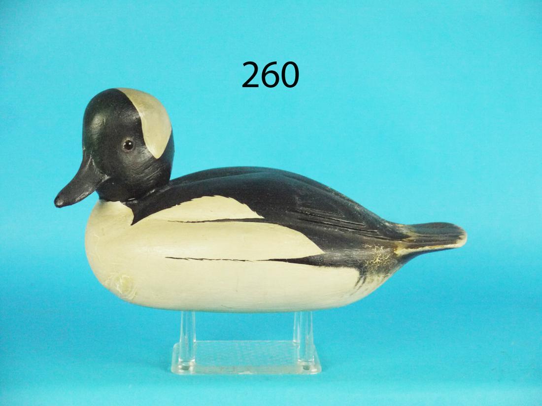 BUFFLEHEAD DRAKE, L. JOHNSON (1 of 1)