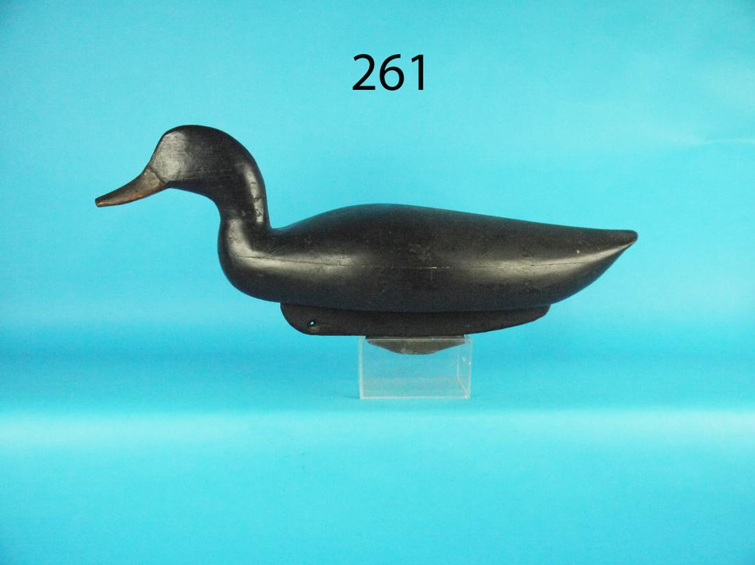 VERY EARLY BLACK DUCK, BLAIR SCHOOL (1 of 4)