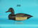 BLUEBILL DRAKE, E. BIRDSALL
