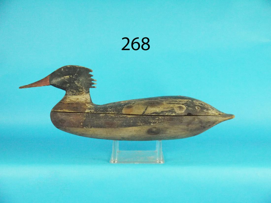 EARLY RED-BREAST MERGANSER DRAKE, BARNEGAT BAY (1 of 1)