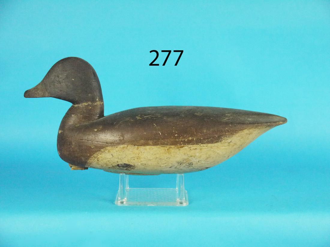 GOLDENEYE HEN, J. BIRDSALL (1 of 1)