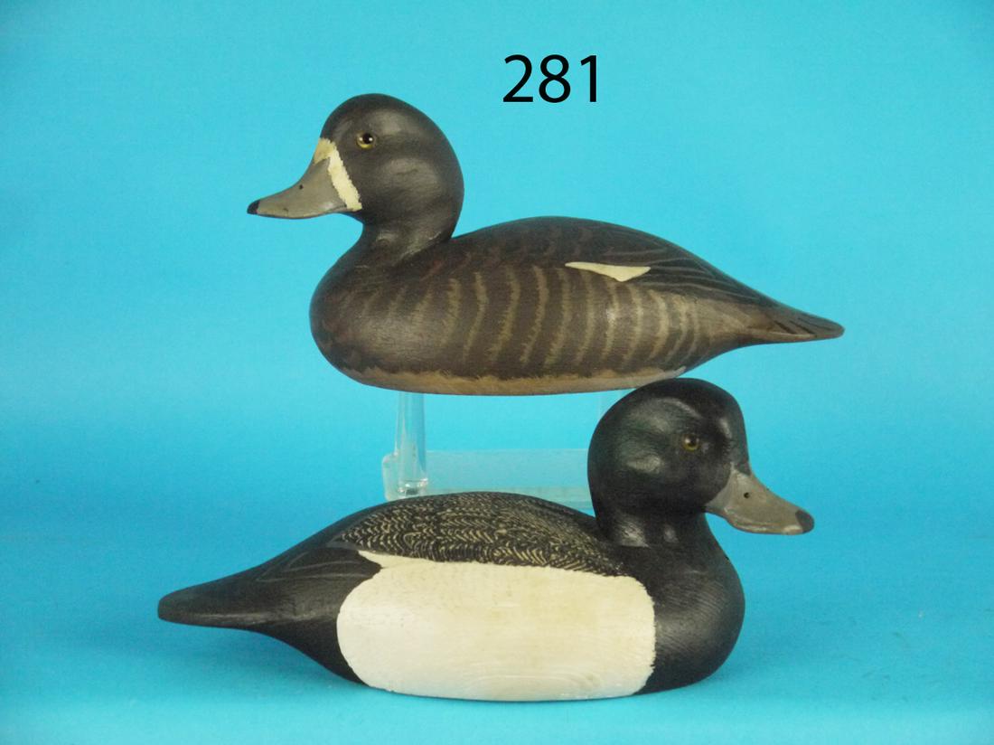 ONE-HALF SIZE BLUEBILLS, J.C. WEST (1 of 1)