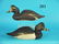 ONE-HALF SIZE RING NECKED PAIR, W. CRANMER