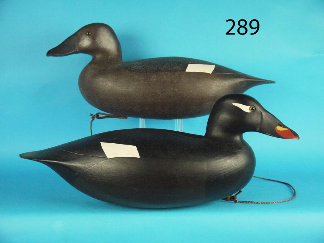 SCOTER PAIR, W. OLER (1 of 1)