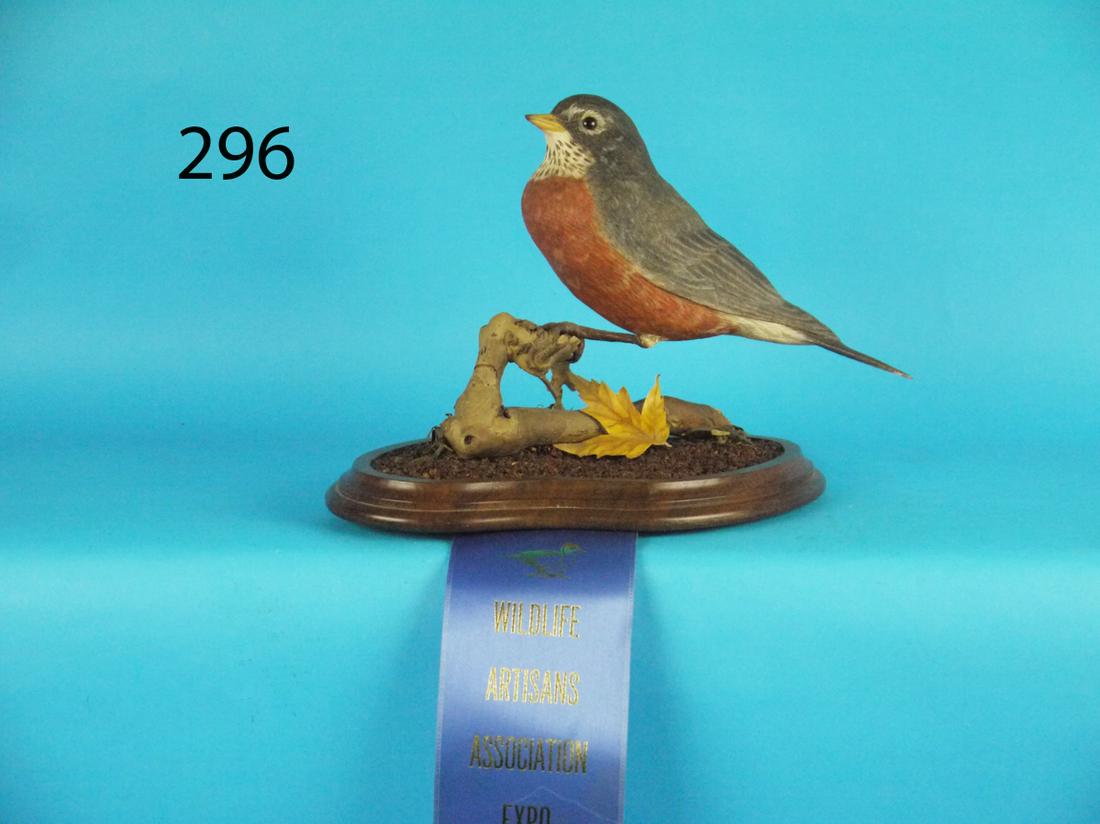 DECORATIVE ROBIN, J. ANDERSON (1 of 1)
