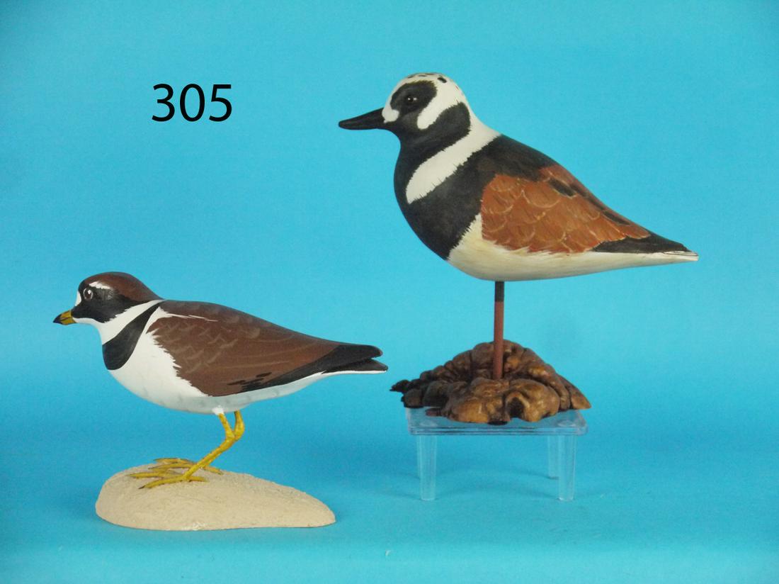 PIPING PLOVER/RUDDY TURNSTONE (1 of 1)